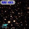 RRF  493