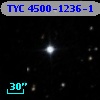 TYC 4500-1236-1