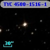 TYC 4500-1516-1