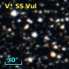 V* SS Vul