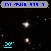 TYC 4501-919-1