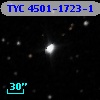 TYC 4501-1723-1