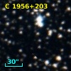 C 1956+203