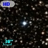 HD 351028