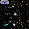 TYC 1628-2398-1