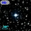 HD 351305