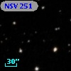 NSV   251
