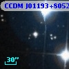 CCDM J01193+8052D
