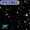 NSV 13022
