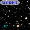 NSV 13042