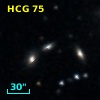 HCG  75