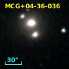 MCG+04-36-036