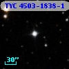 TYC 4503-1838-1