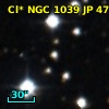 Cl* NGC 1039     JP     479