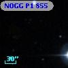 NOGG P1  855