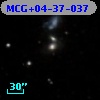 MCG+04-37-037