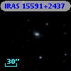 IRAS 15591+2437