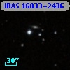 IRAS 16033+2436