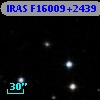 IRAS F16009+2439