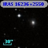 IRAS 16236+2550