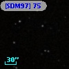 [SDM97]  75