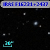 IRAS F16231+2437