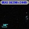 IRAS 16290+2449