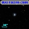 IRAS F16310+2608