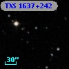 TXS 1637+242