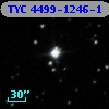TYC 4499-1246-1