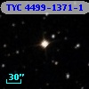 TYC 4499-1371-1