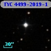 TYC 4499-2019-1