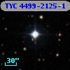 TYC 4499-2125-1