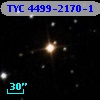 TYC 4499-2170-1
