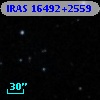 IRAS 16492+2559