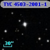 TYC 4503-2001-1