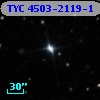 TYC 4503-2119-1