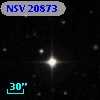NSV 20873