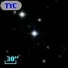 TYC 2064-1008-1