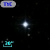 TYC 2064-1195-1