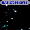 IRAS 17236+2631