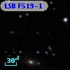 LSB F519-1