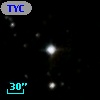 TYC 2082-1169-1