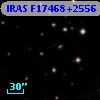 IRAS F17468+2556
