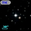 TYC 2081-216-1