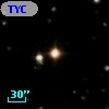 TYC 2081-311-1
