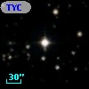 TYC 2081-593-1