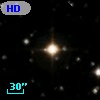 HD 335503