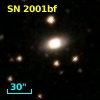 SN 2001bf