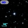 HD 336007